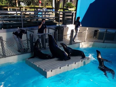 Lange Mechanical Services, LP