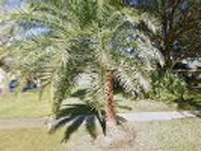 Larson's AC and Heating