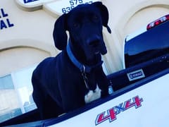 Las Cruces Plumbing & Gas LLC