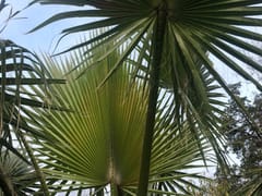 Legacy Air Services, LLC.