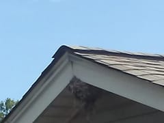 Lennox Repair Services