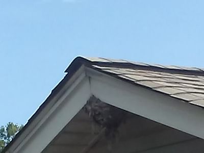 Lennox Repair Services