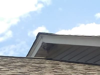 Lennox Repair Services