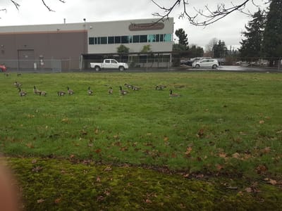 Lennox Stores (Parts Plus)