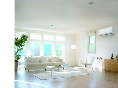 Leo Maintenance and Repair