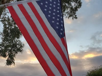 Lewis and Sons Air Conditioning Inc