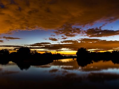 Lewis and Sons Air Conditioning Inc