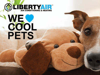 LIBERTYAIR Air Conditioning Repair & Heating - Newberry
