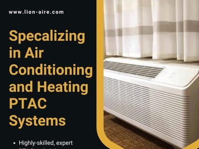 Lion Enterprises of New York, LLC