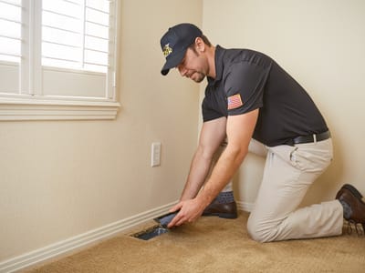 Lion Home Service - Fort Collins