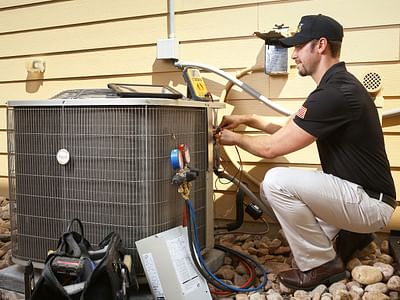 Lion Home Service - Fort Collins