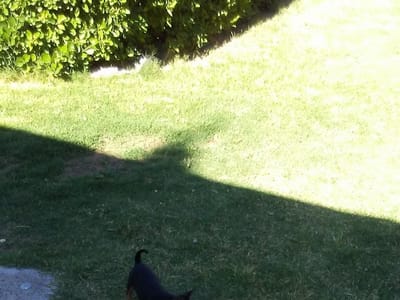 Lone Star Mechanical Contractor