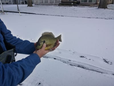 Lursen's Heating & Air Conditioning