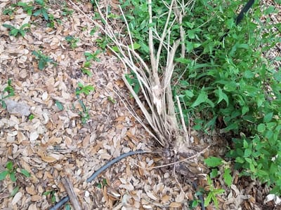 M. D. Ellis Refrigeration LLC