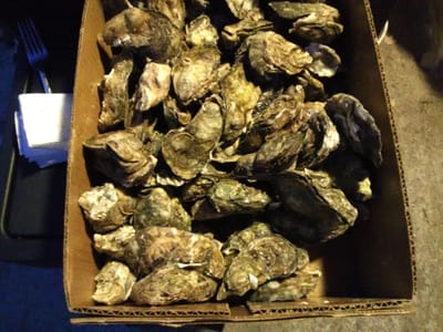 M.D Lawson Heating & Cooling