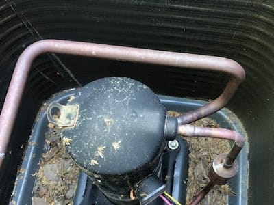 M & M General Maintenance LLC