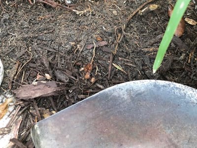 Manayunk Plumbing & Heating