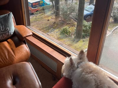 MarGo Plumbing Heating Cooling Inc.