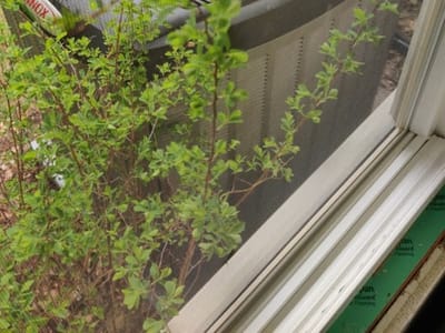 Marsh Heating & Air Conditioning