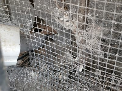 Maselli Contracting & HVAC