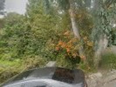 Max Household Services Inc.