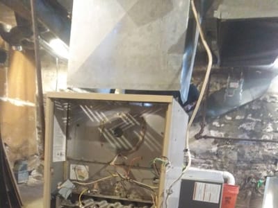 McCann's all season experts