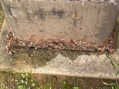 McNeese Climate Control LLC