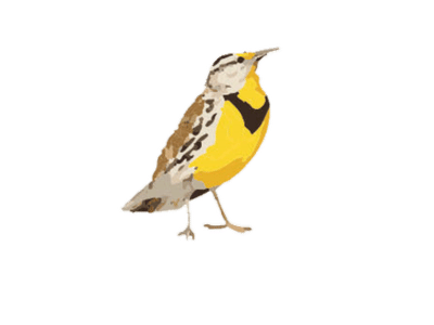 Meadowlark HVAC, LLC