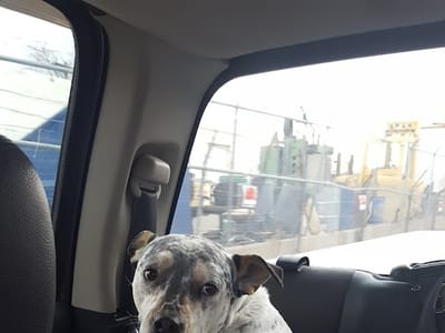 Mechanical Systems Inc.