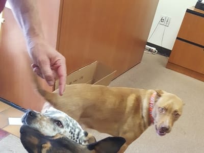 Mechanical Systems Inc.