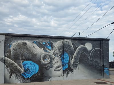 Meier Supply Rochester