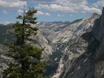 Merced Yosemite Realty