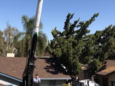 Mercury Heating and Air