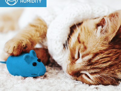 Mertens Service Inc.