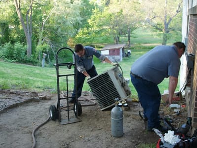 Michael & Son Services