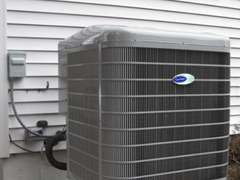 Michael & Son Services