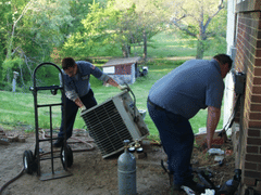 Michael & Son Services