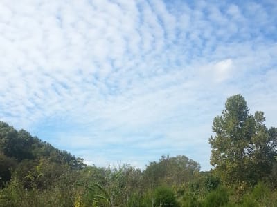 Mid-State Air Conditioning & Heating