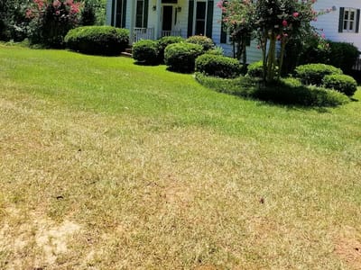 Midland Air Service Experts