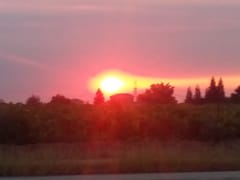 Mike Bispo and Son Propane, Inc.