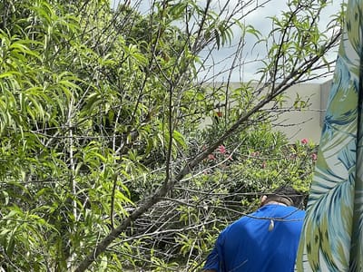 Mike's Plumbing, Electrical & HVAC