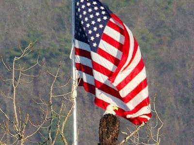 Mikes Mechanical Inc.