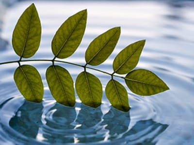 Millenium Energy Company