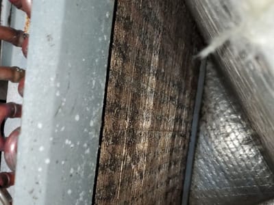 Miroshni Services LLC