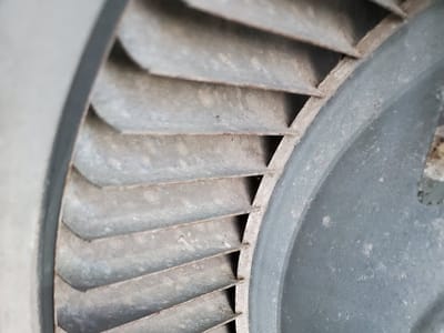 Miroshni Services LLC