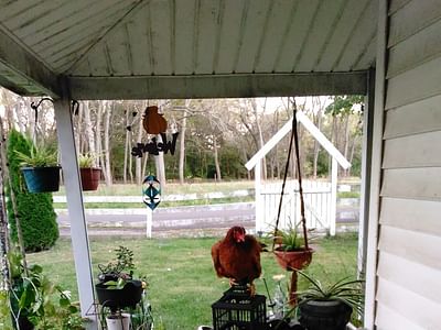 Modern-Aire East Heating & Cooling