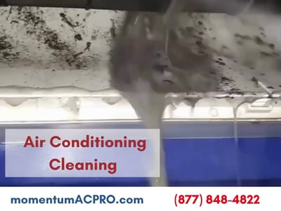 Momentum AC Services Inc - Tampa