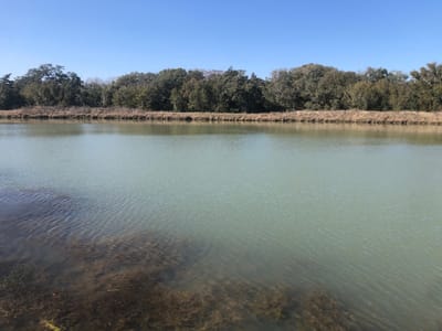 Morgan's Kool Air Inc.