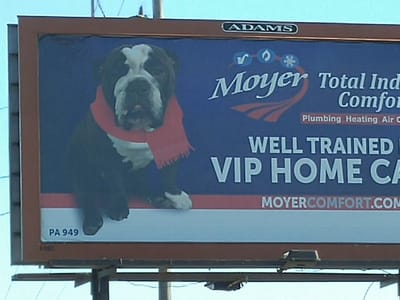 Moyer Total Indoor Comfort