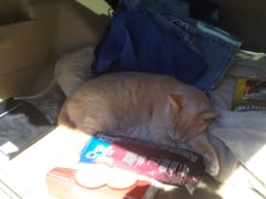 Multipro Heating & AC